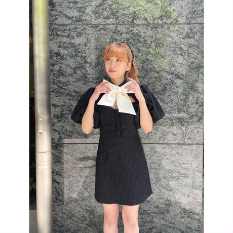 《sister jane》Fauna Jacquard  mini one piece(03)